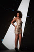 Chara Bronz Lace Mini Dress